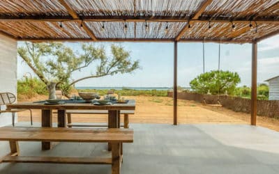 un cocon de cabanon au pied des étangs de Pérols